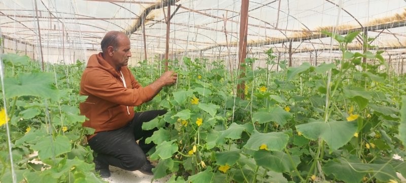 Farming Schools