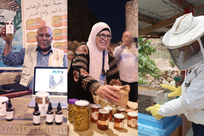 تربية النحل: مشاريع قليلة التكلفة تدر دخلًا على الأسر في مناطق البادية الشمالية تربية النحل: مشاريع قليلة التكلفة تدر دخلًا على الأسر في مناطق البادية الشمالية